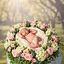 newborn, baby, sleeping, flowers, roses, hydrangeas, greenery, cushion, wreath, nature, outdoor, soft_light, portrait, peaceful, infant, hat, diaper, floral_arrangement, blurred_background, resting