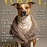 Girl Girl--gg joined the competition — help win amazing prizes! animal, brown_and_white, couture, dog, editorial, fashion, fashionable, front_view, fur_coat, glamour, magazine_cover, pearl_necklace, pet, portrait, serious_expression, sitting, studio, text_overlay, typography, vogue_style