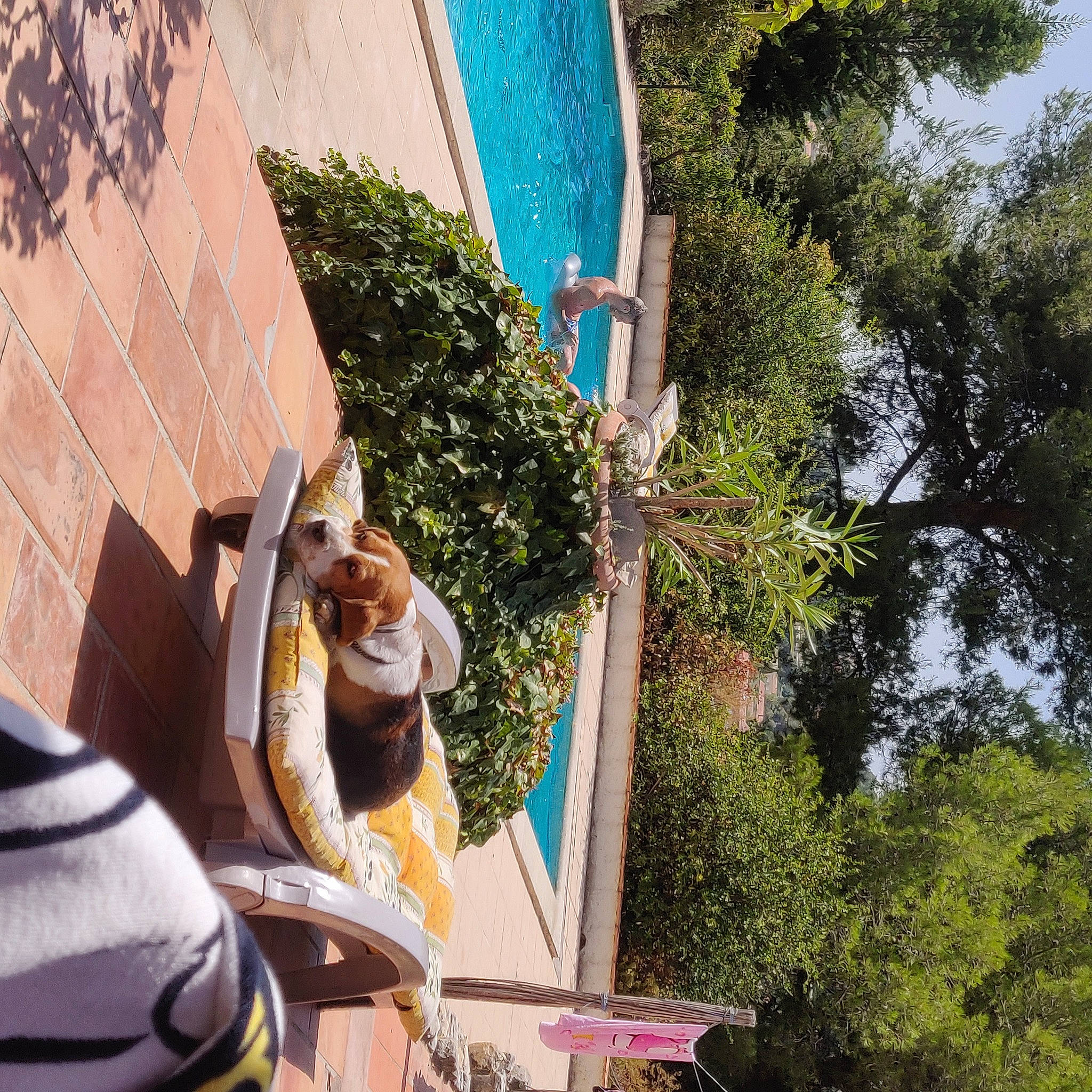 Igon a rejoint le concours — aidez-le/la à gagner de superbes lots ! art, building, city, event, facade, fun, hat, leisure, plant, pole, recreation, roof, sitting, sun_hat, travel, tree, vacation