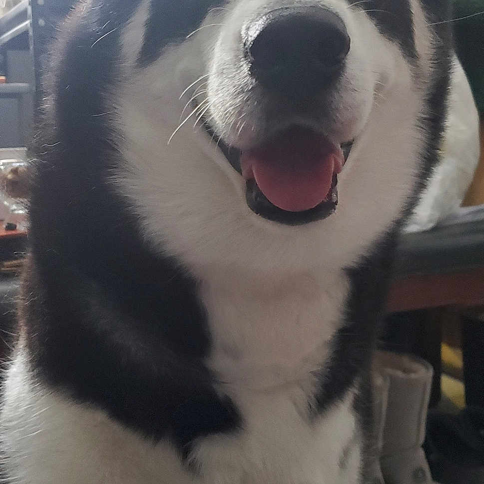 Zeke