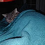 Baby is registered to the contest to win money with this photo: animal, blanket, cat, comfort, cozy, cute, dim_light, domestic, feline, fur, hidden, indoor, pet, quiet, relaxation, resting, sleeping, soft, teal, warm