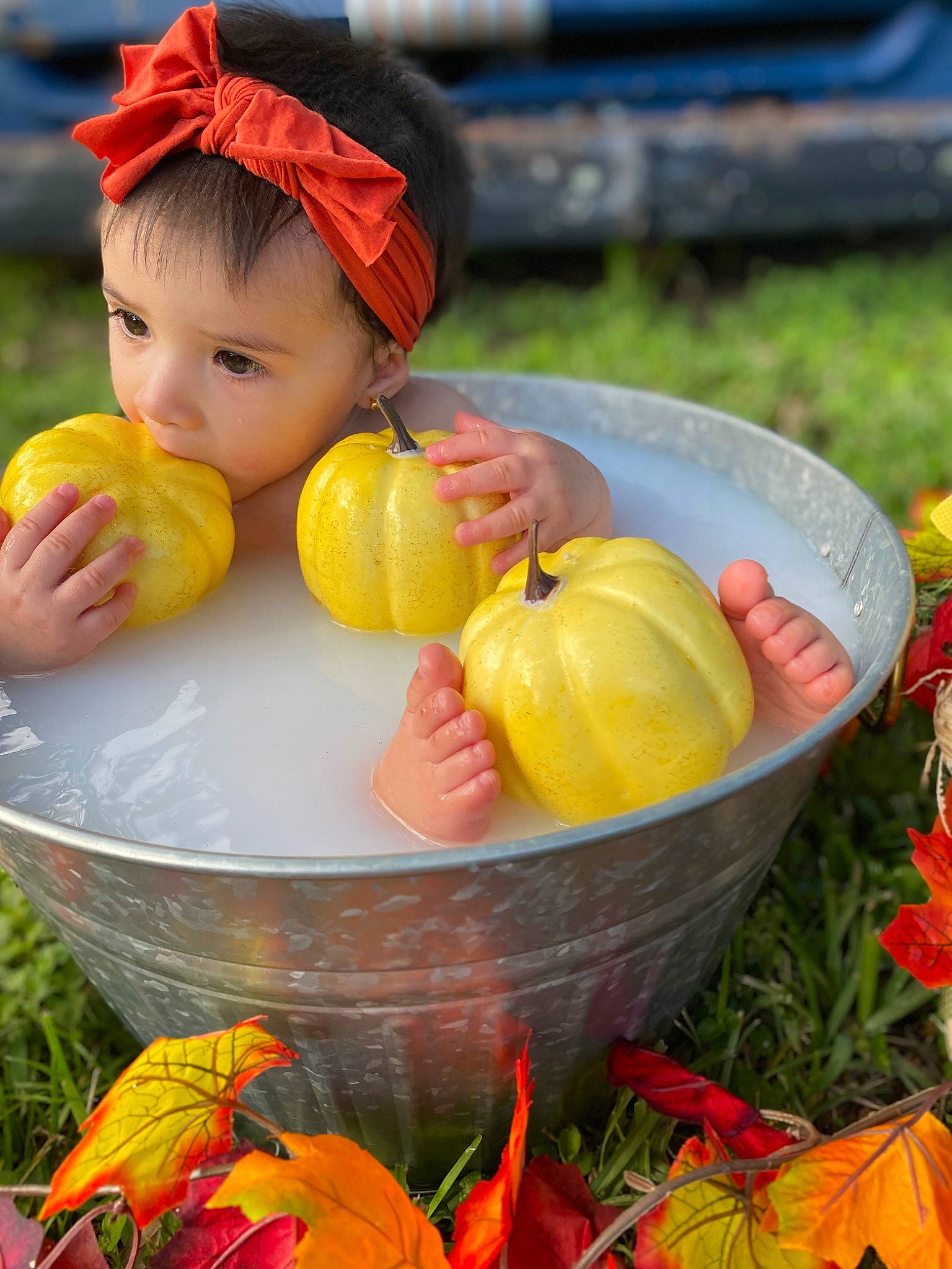 Gabriella joined the competition — help win amazing prizes! botany, calabaza, cucurbita, face, food, fruit, grass, happy, head, ingredient, leaf, natural_foods, orange, people_in_nature, person, plant, pumpkin, vegetable, whole_food, winter_squash