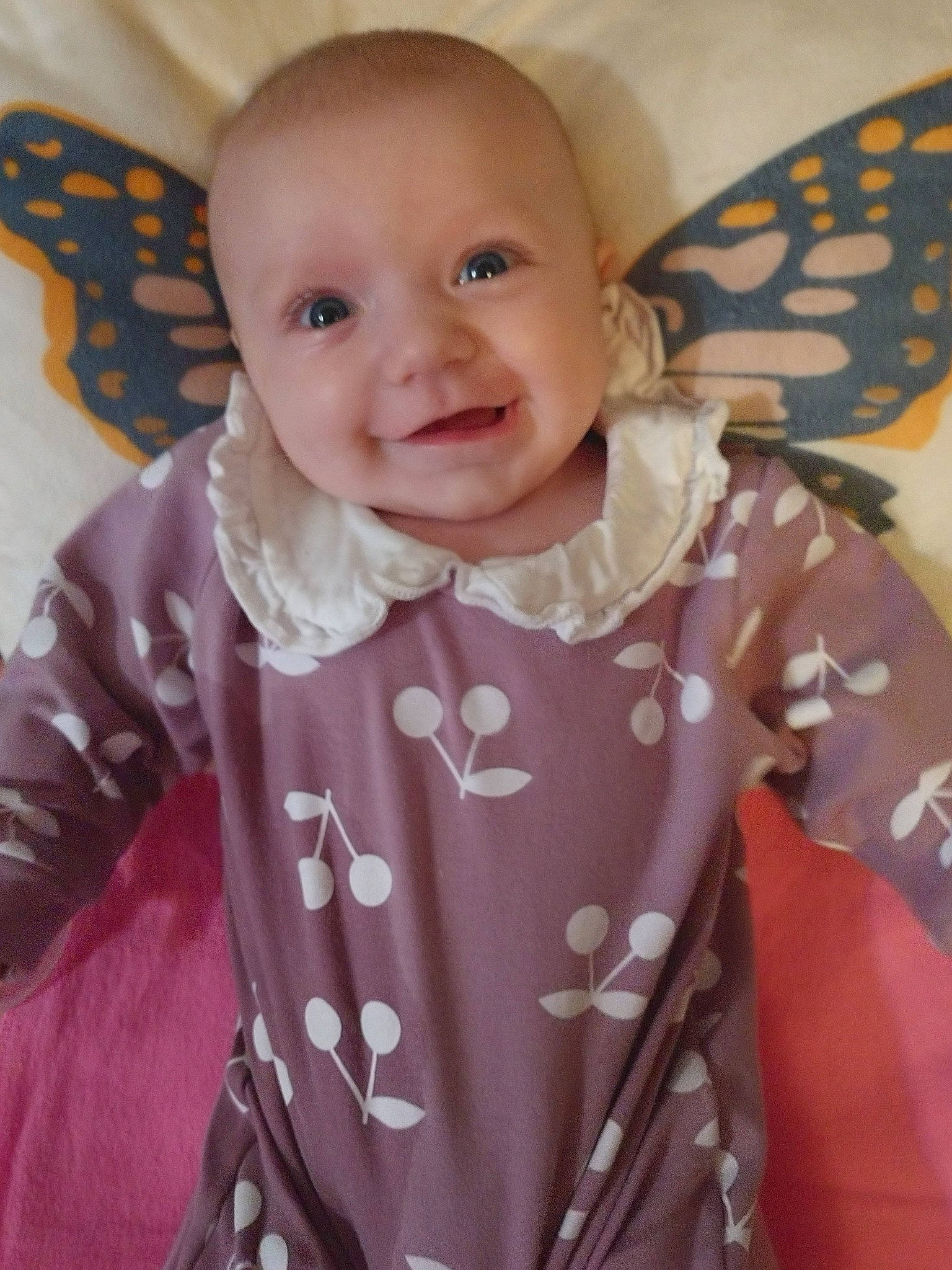 Kenley is registered to the contest to win money with this photo: arthropod, baby, baby_toddler_clothing, beauty, cheek, child, happy, iris, joy, outerwear, pattern, people, person, pink, pollinator, product, skin, sleeve, smile, t_shirt