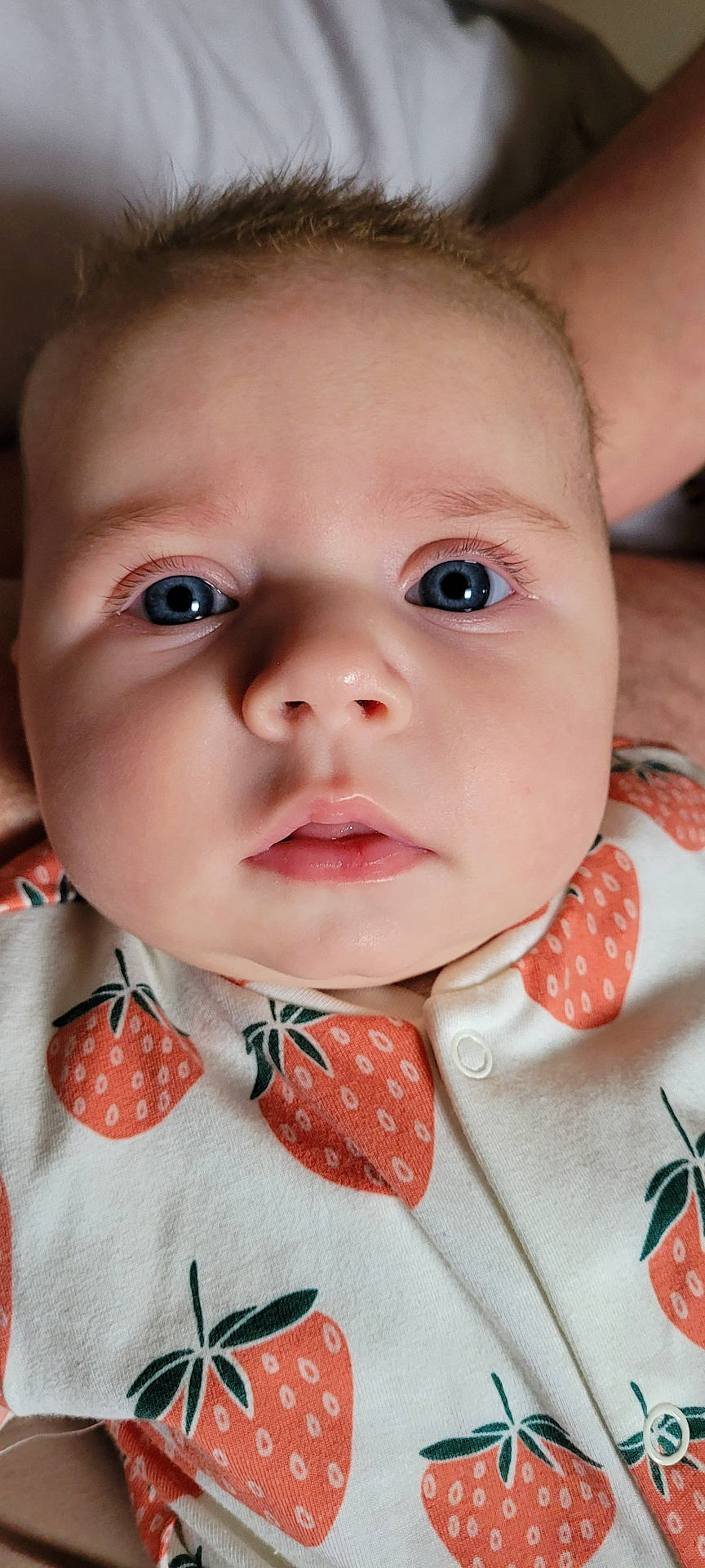 Bonnie-Rae is registered to the contest to win money with this photo: baby, blue_eyes, child, close_up, clothing, cute, expression, eyelashes, face, head, infant, mouth, newborn, nose, onesie, person, portrait, skin, soft_light, strawberry_pattern