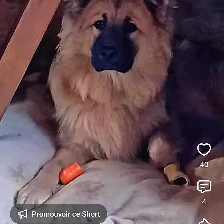Milo