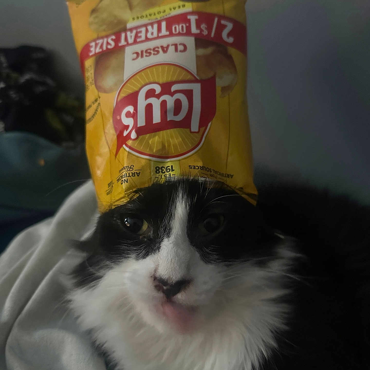 Oreo