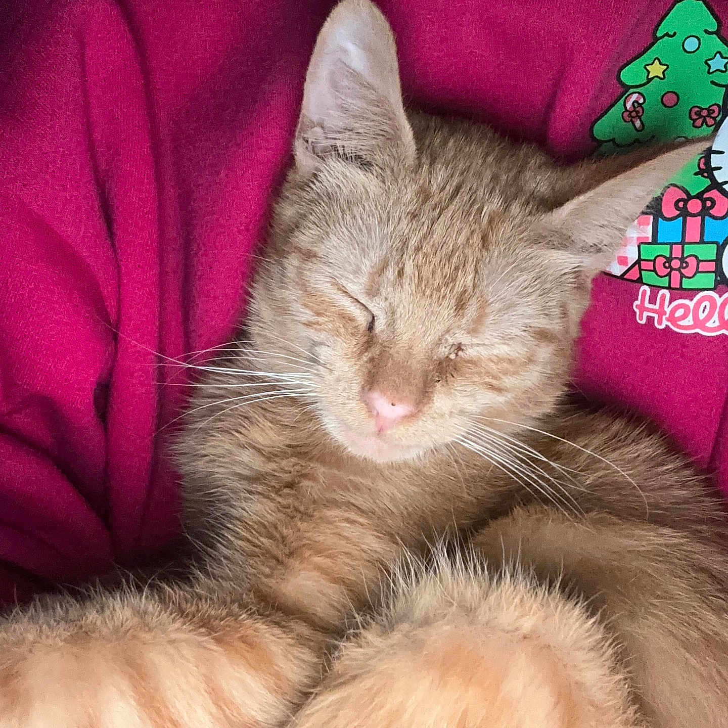 Garfield