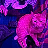 Garfield is registered to the contest to win money with this photo: cat, pet, animal, feline, pink_lighting, purple_lighting, indoor, bedroom, lap, person, hand, game_controller, remote_control, plate, cup, blanket, fabric, relaxed, closeup, photography
