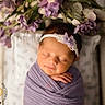 newborn, baby, sleeping, portrait, headband, flowers, floral, wrapped, blanket, lavender, infant, peaceful, indoors, photography, face, closed_eyes, hands, basket, soft_lighting, watermark
