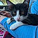 Mittens