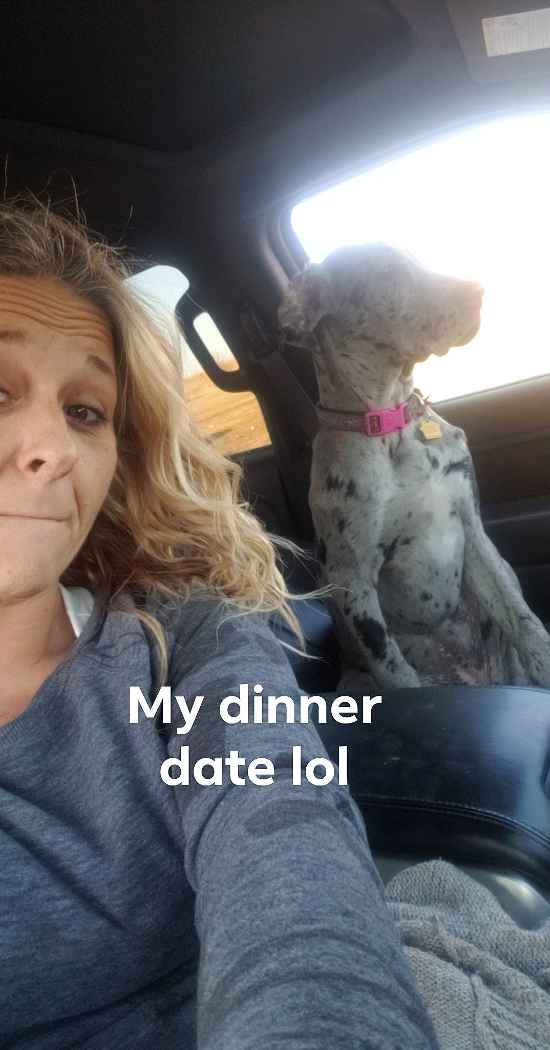 Maddie Mae is registered to the contest to win money with this photo: canidae, carnivore, companion_dog, dog, dog_breed, non_sporting_group, nose, photo_caption, photography, puppy_love, selfie