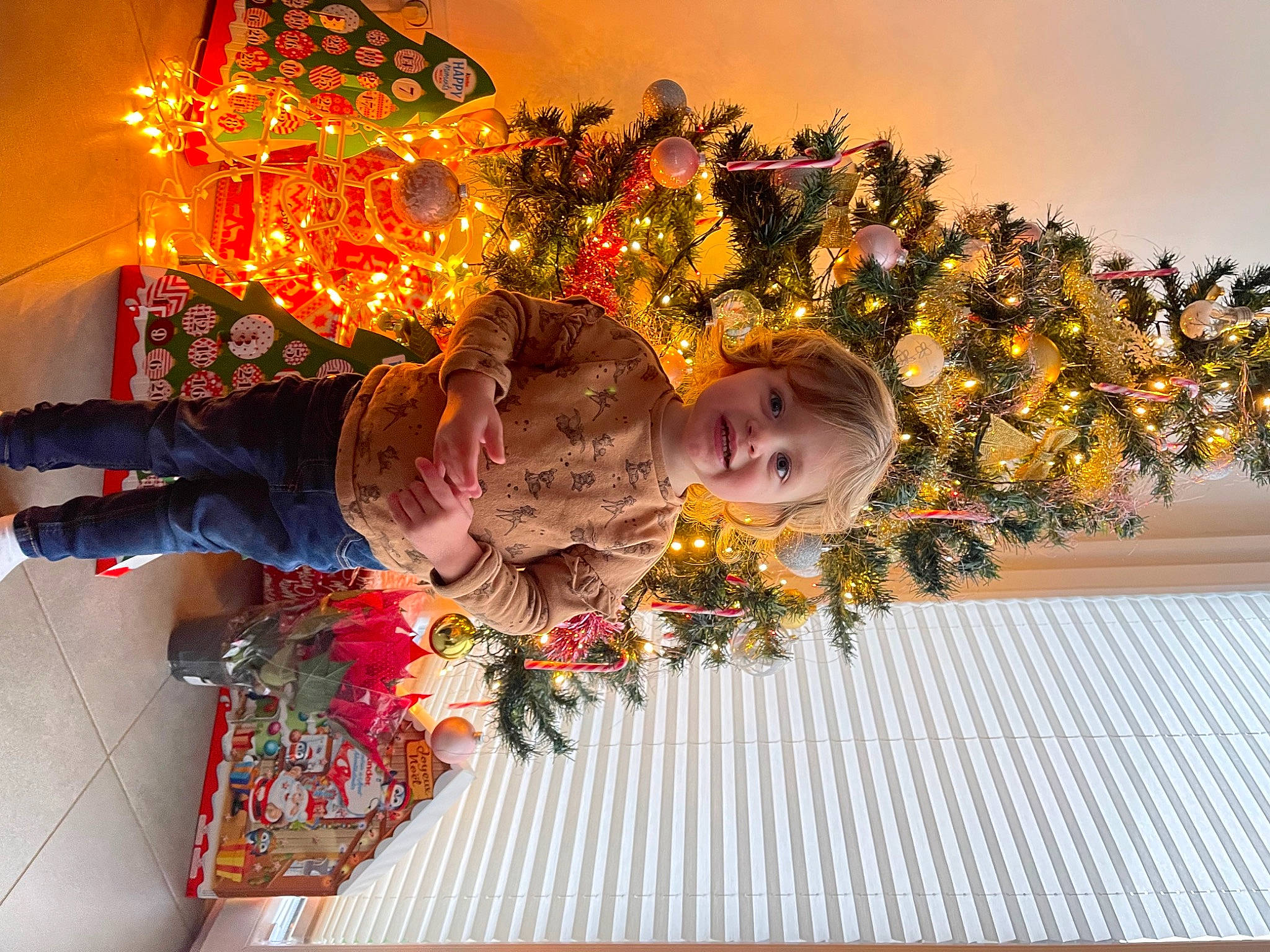 Julia participe au concours pour gagner de l'argent avec cette photo : child, christmas, christmas_decoration, christmas_eve, christmas_ornament, christmas_tree, cut_flowers, decoration, event, floral_design, floristry, flower_arranging, fun, happy, holiday, interior_design, joy, ornament, person, plant