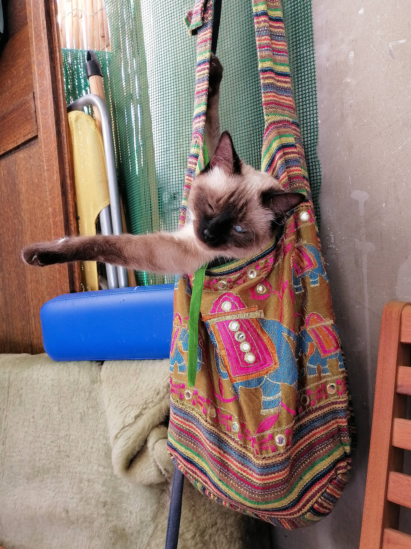 animal, bag, cat, chair, colorful, cozy, cute, door, embroidery, fabric, furniture, hanging, indoor, netting, paw, pet, relaxed, siamese_cat, stretching, wood