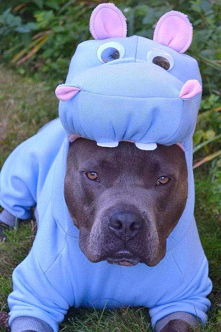 Blu