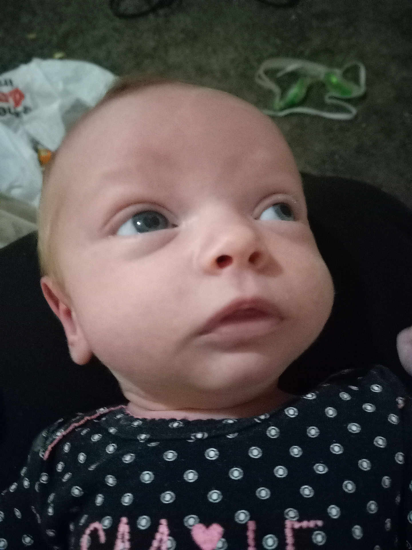 Rosemary joined the competition — help win amazing prizes! baby, infant, face, closeup, polka_dot, clothing, black_outfit, pink_text, looking_away, expression, head, skin, person, young_child, portrait, indoor, background, plastic_bag, green_object, curious