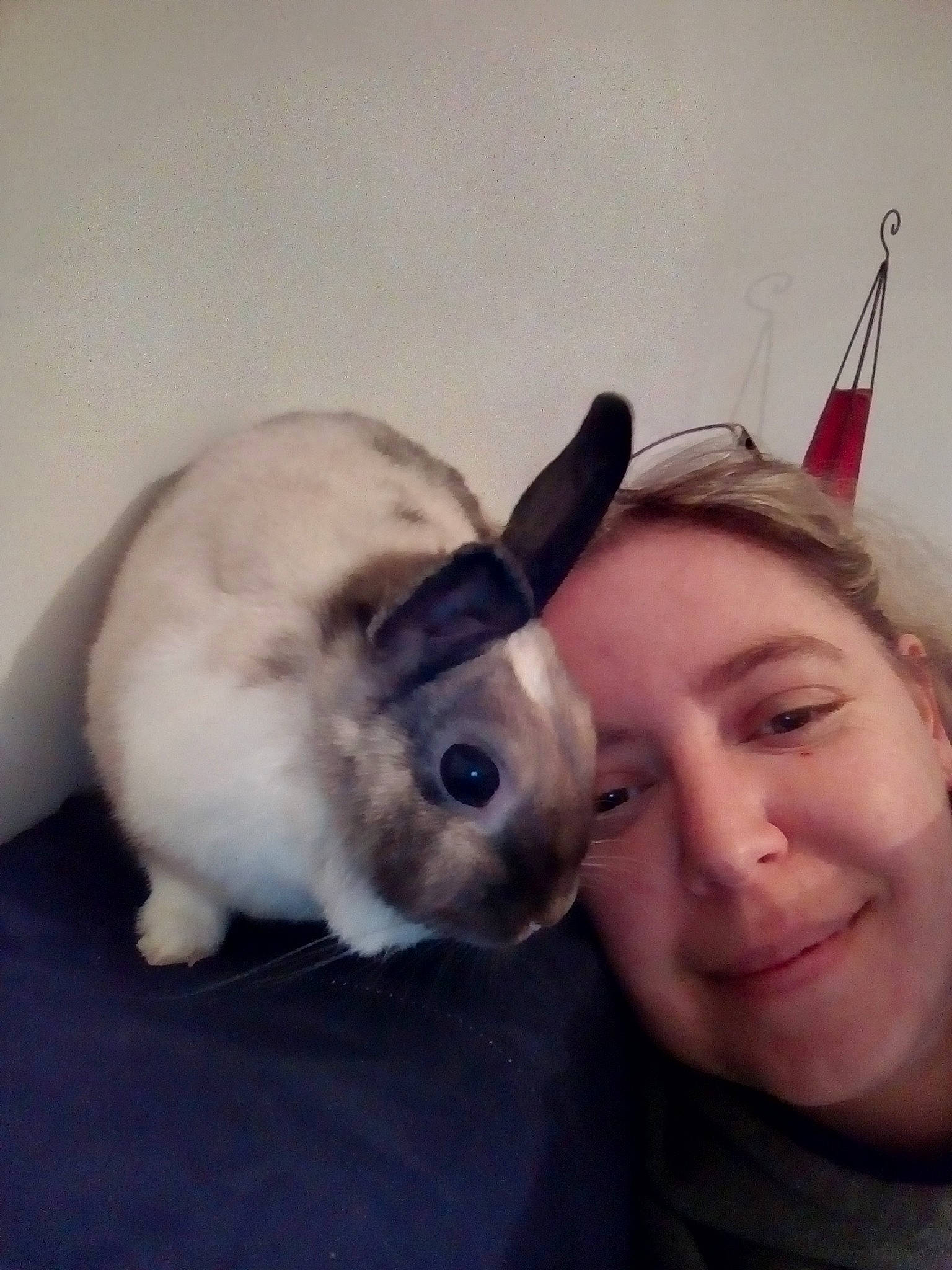 Plume participe au concours pour gagner de l'argent avec cette photo : domestic_rabbit, ear, fawn, nose, person, photography, rabbit, rabbits_and_hares, selfie, skin, snout, whiskers