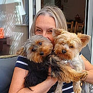 Shanel a rejoint le concours — aidez-le/la à gagner de superbes lots ! person, dog, yorkshire_terrier, pet, animal, indoor, couch, embrace, smile, happy, fur, face, holding, close_up, home, window, arm, casual, striped_shirt, relaxing