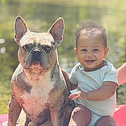 Enzo Lorenz joined the competition — help win amazing prizes! animal, baby, child, companionship, cute, dog, french_bulldog, friendship, greenery, happy, nature, outdoor, pet, portrait, sitting, smiling, sunlight, toddler, warm, young