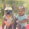 animal, baby, child, companionship, cute, dog, french_bulldog, friendship, greenery, happy, nature, outdoor, pet, portrait, sitting, smiling, sunlight, toddler, warm, young