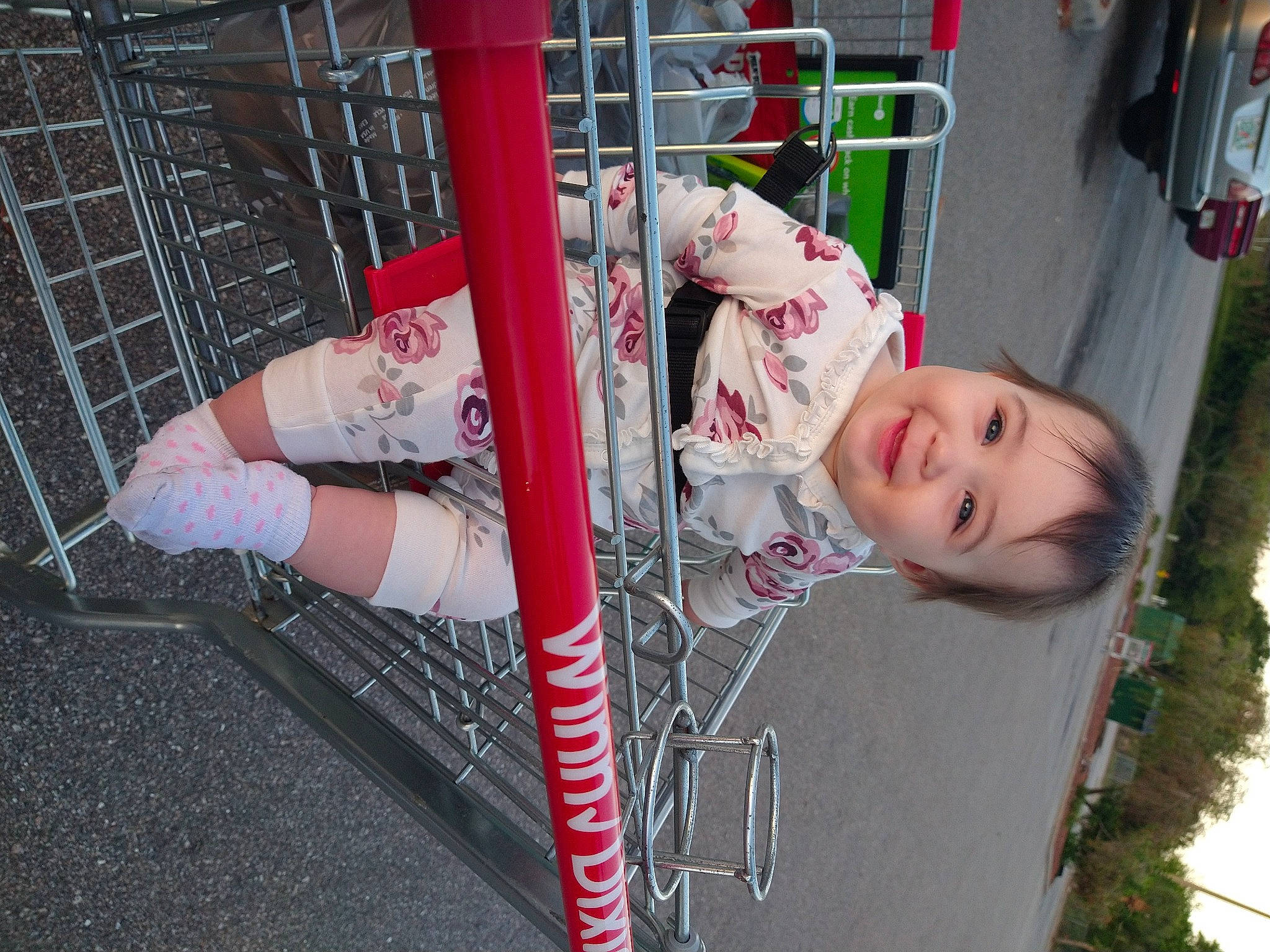 Rylee joined the competition — help win amazing prizes! baby, car, carmine, child, flesh, fun, grass, happy, human_leg, joy, knee, leisure, magenta, pattern, person, pink, sidewalk, smile, street_fashion, thigh