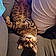Simba