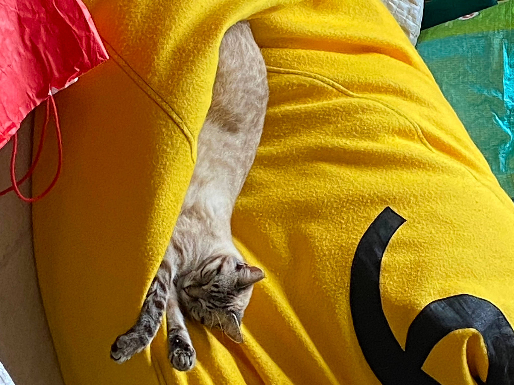 Sushie a rejoint le concours — aidez-le/la à gagner de superbes lots ! carmine, collar, comfort, dress_shirt, electric_blue, fashion_accessory, gesture, jersey, linens, orange, outerwear, pattern, personal_protective_equipment, sleeve, sportswear, textile, top, uniform, wing, yellow