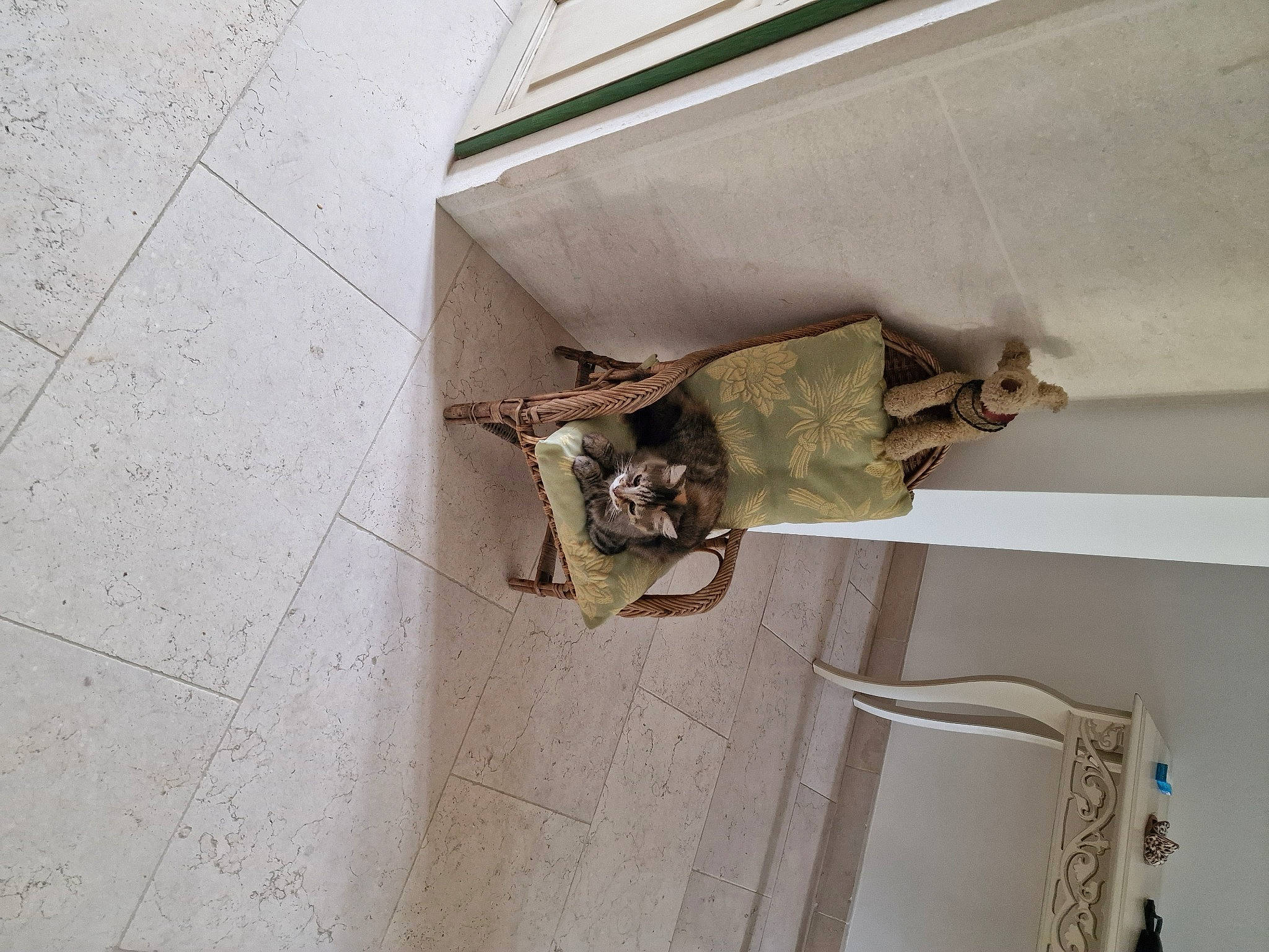 Mimine a rejoint le concours — aidez-le/la à gagner de superbes lots ! art, brick, brickwork, building, ceiling, composite_material, concrete, door, electrical_wiring, felidae, flooring, hardwood, house, metal, plaster, room, sash_window, sculpture, window, wood