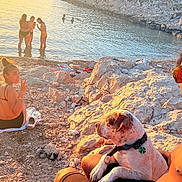 Thyya participe au concours pour gagner de l'argent avec cette photo : beach, dog, leisure, nature, outdoor, people, person, pet, reflection, relaxation, rocks, shore, summer, sunglasses, sunlight, sunset, swimsuit, towel, vacation, water