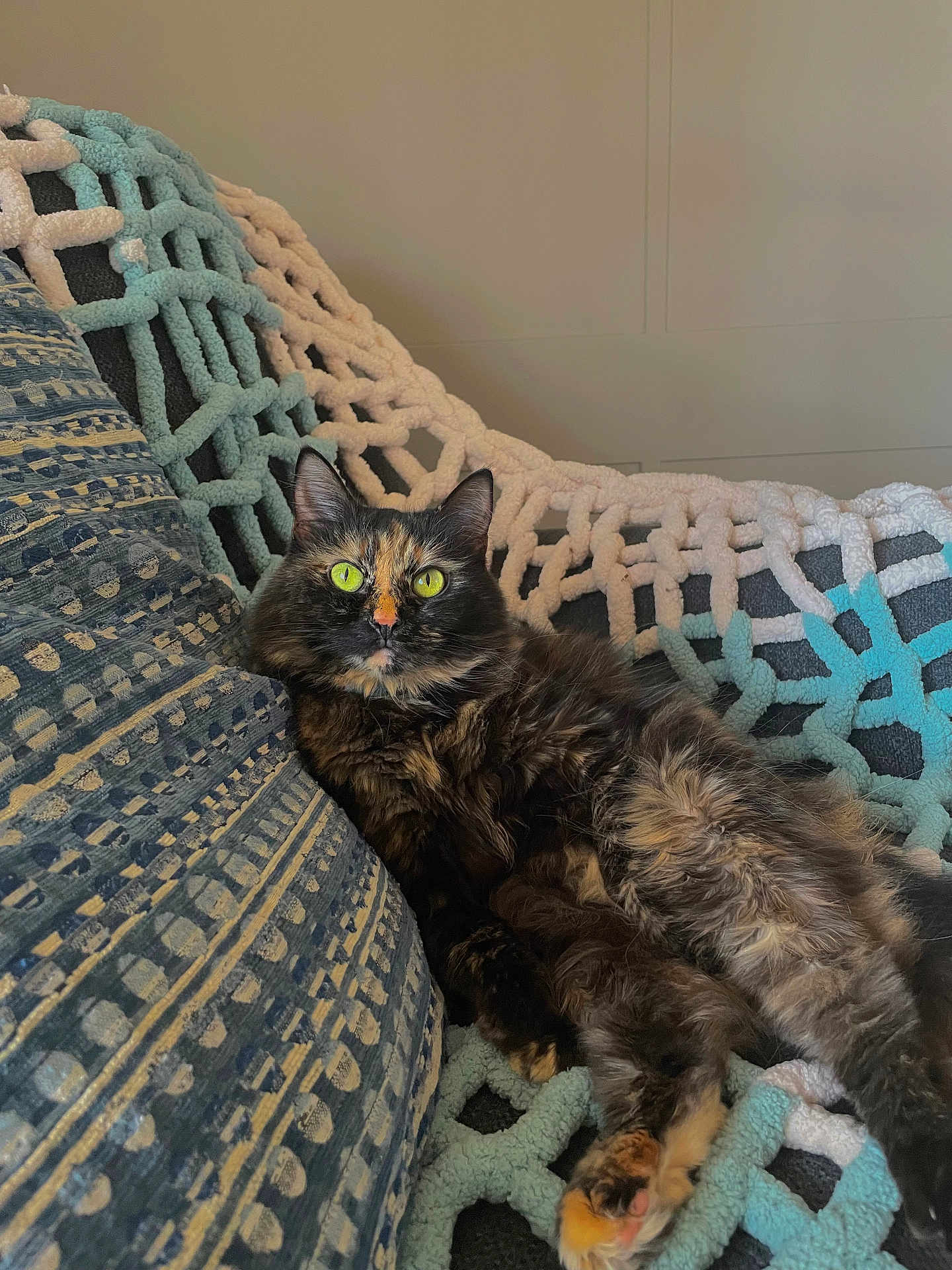Sassy Wassy joined the competition — help win amazing prizes! cat, tortoiseshell, feline, pet, animal, cozy, blanket, couch, indoor, relaxed, fur, whiskers, cute, domestic, mammal, resting, yellow_eyes, texture, pattern, comfort