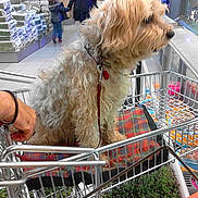 Caline participe au concours pour gagner de l'argent avec cette photo :