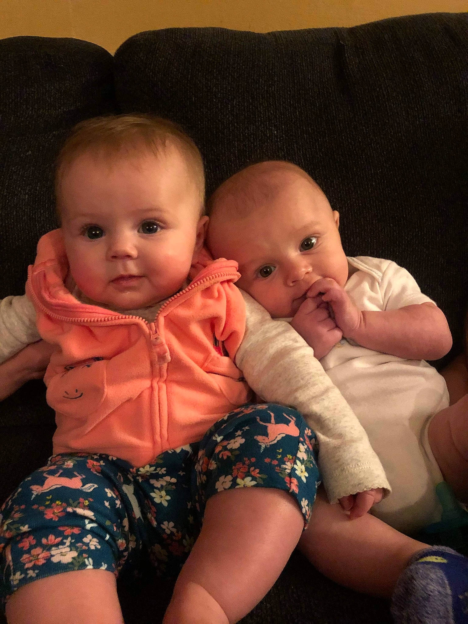 Quinn joined the competition — help win amazing prizes! abdomen, baby, cheek, child, eye, face, finger, fun, head, human, iris, lap, leg, lip, nose, people, person, sibling, sitting, skin