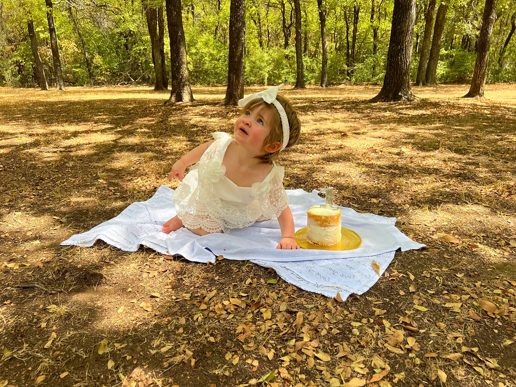Rylan joined the competition — help win amazing prizes! bride, child, dress, event, forest, fun, grass, happy, leisure, natural_environment, people_in_nature, person, plant, recreation, sitting, soil, sunlight, tints_and_shades, tree, trunk