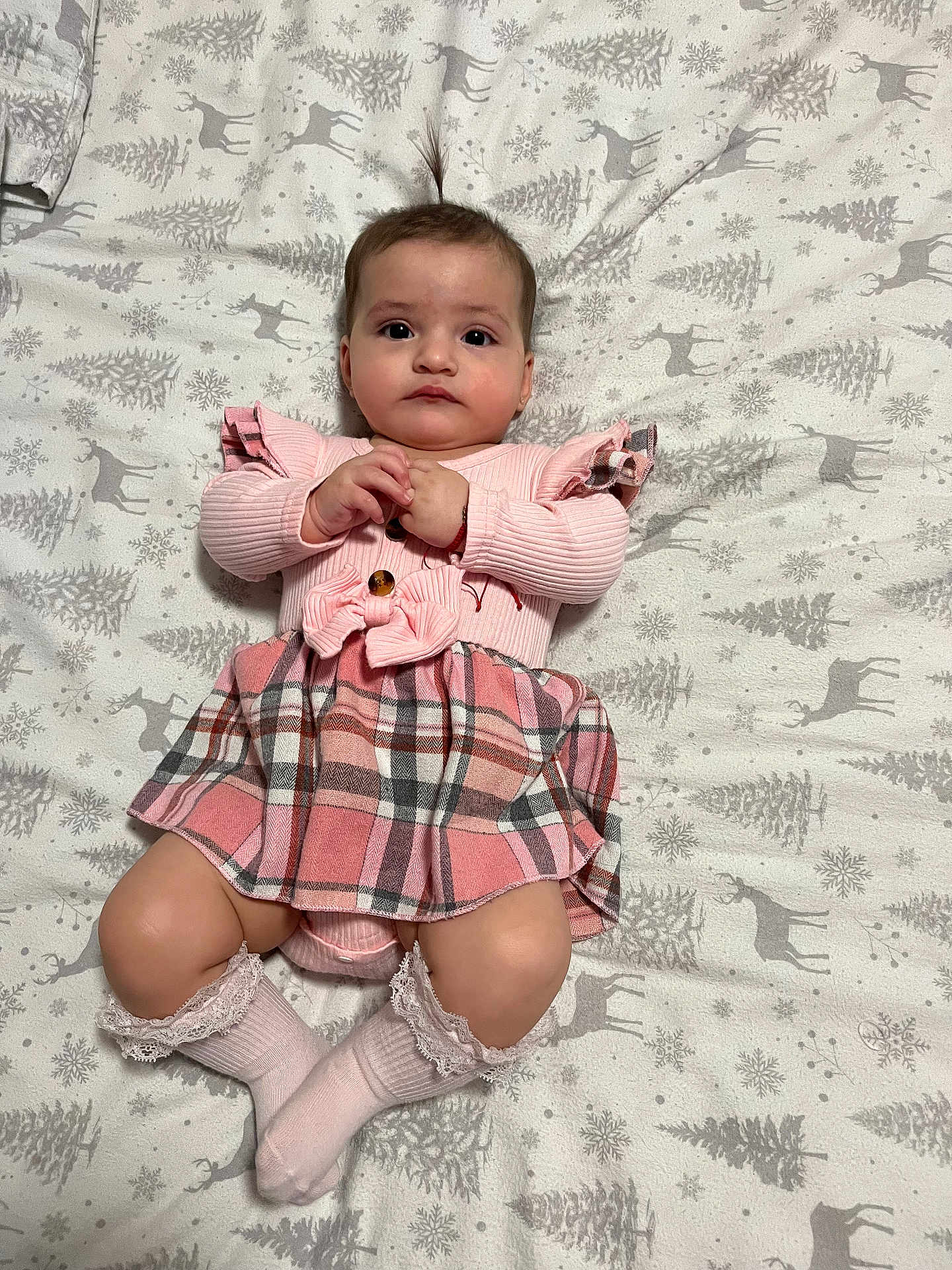 Mia joined the competition — help win amazing prizes! baby, child, infant, pink_dress, plaid, socks, ponytail, blanket, reindeer_pattern, trees, lying_down, cute, adorable, young, indoors, portrait, hands, legs, face, expression