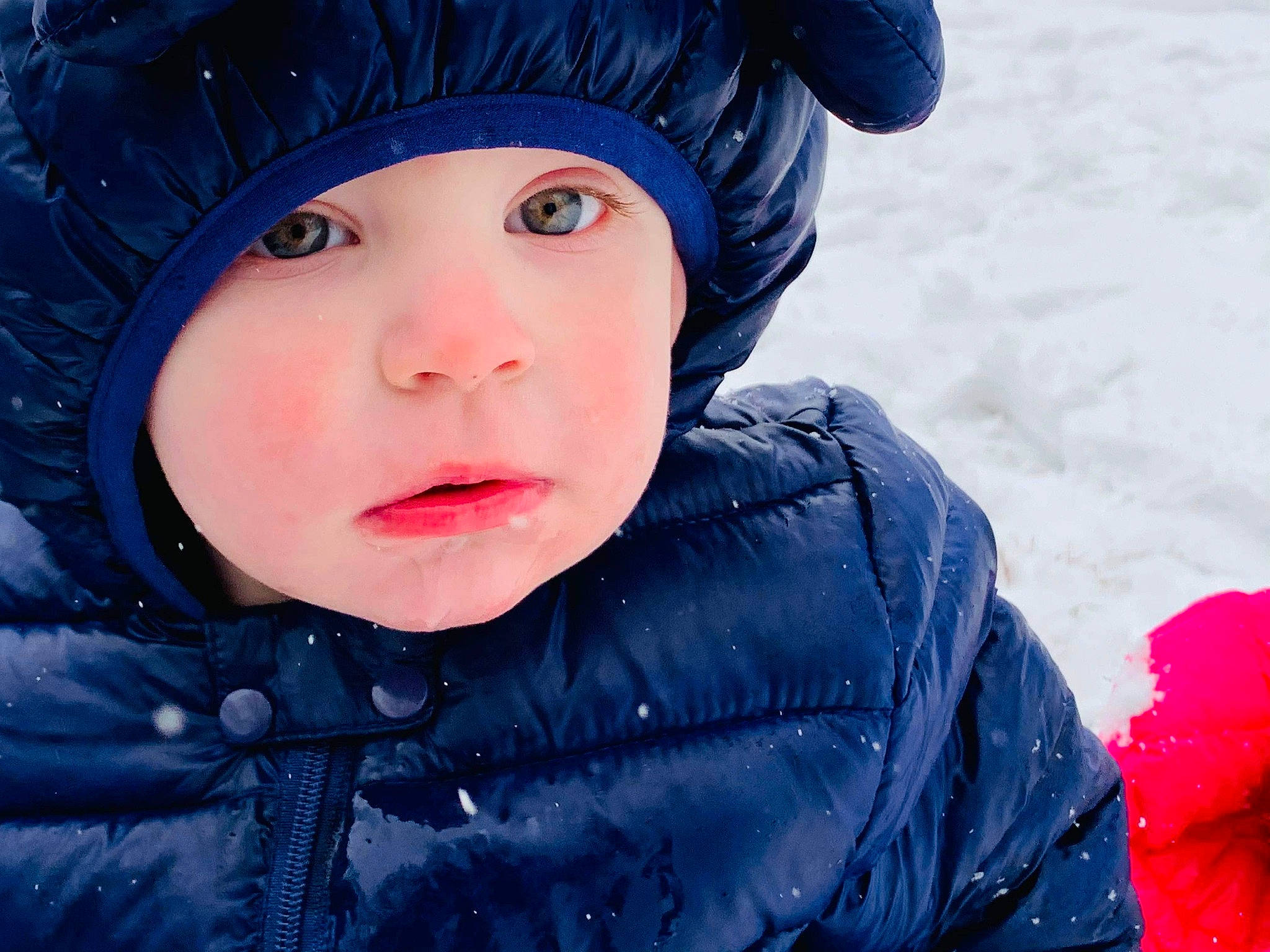 Riker joined the competition — help win amazing prizes! blue, cap, cheek, child, clothing, cool, electric_blue, flash_photography, freezing, happy, headwear, jacket, knit_cap, outerwear, people_in_nature, person, photograph, pink, snow, textile