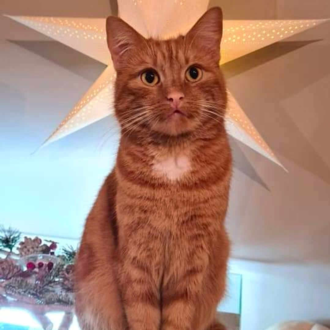 Shaka