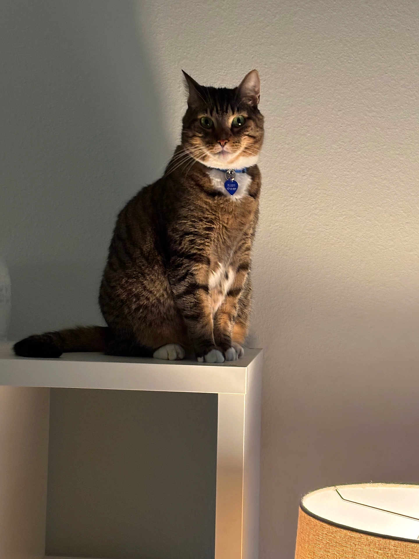 Elliott