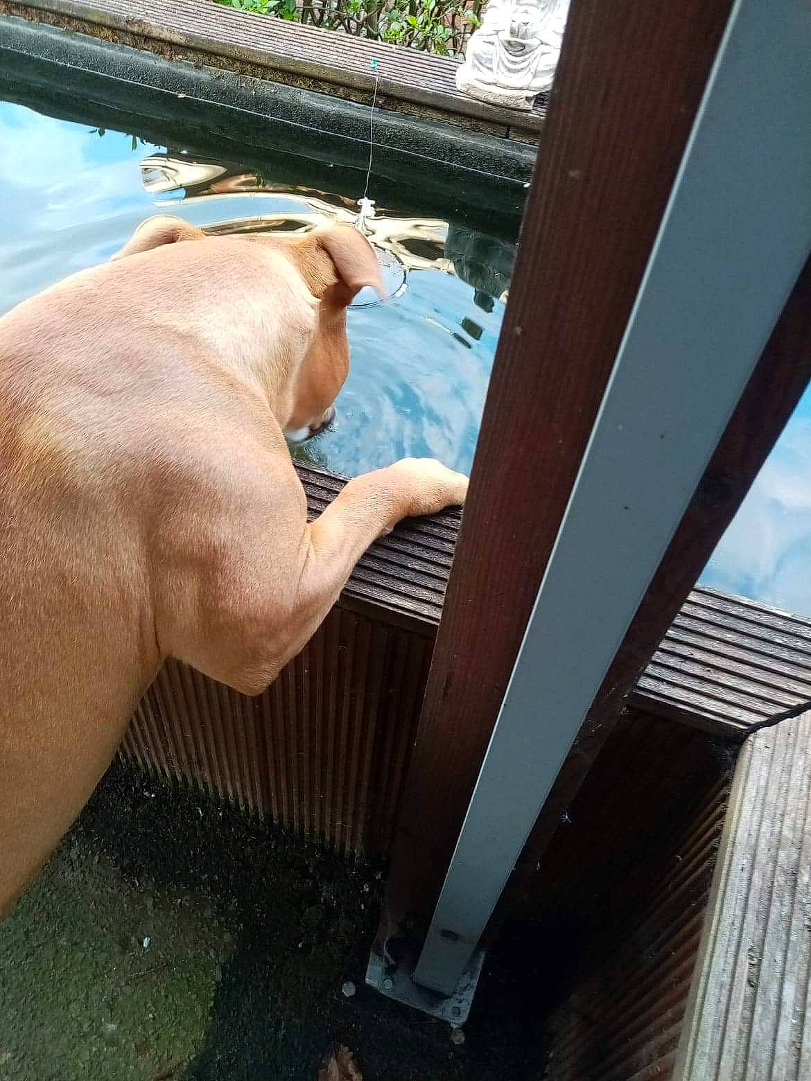 Djack a rejoint le concours — aidez-le/la à gagner de superbes lots ! barefoot, beam, calf, composite_material, elbow, foot, hardwood, human_leg, leisure, metal, nail, roof, steel, tail, terrestrial_animal, thigh, thumb, toe, water, wood