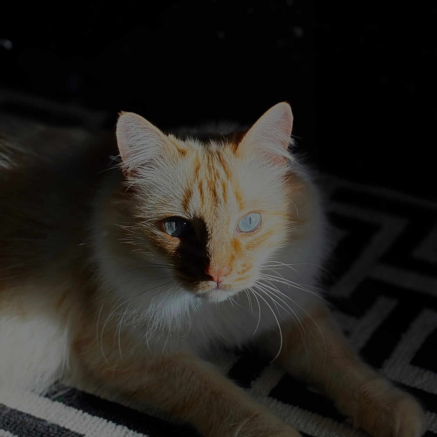 Ragnar