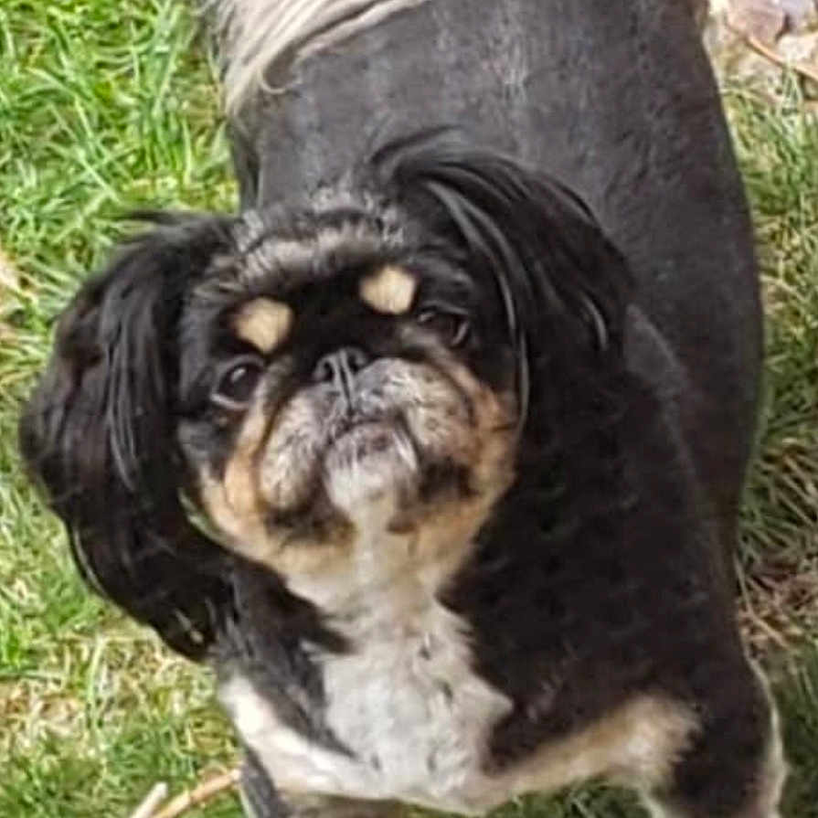 Asia