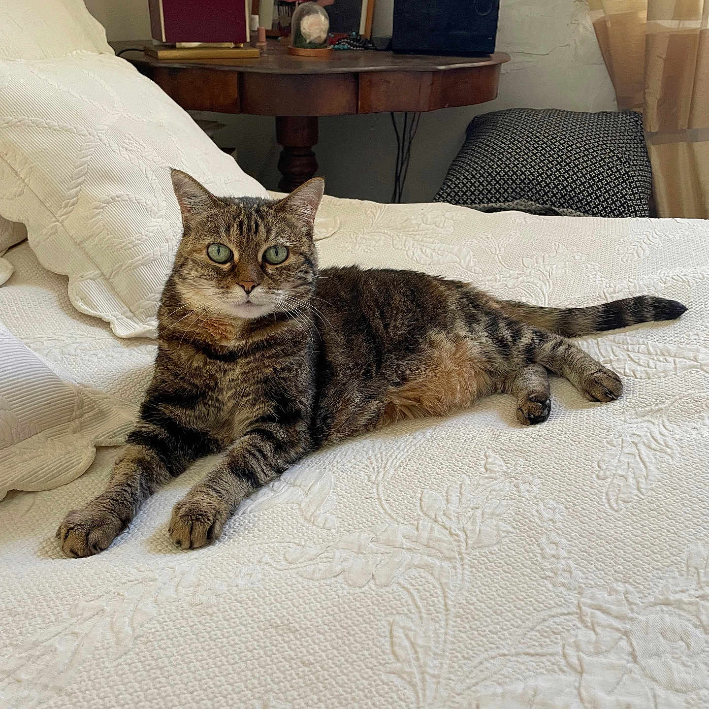 Mine