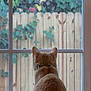 cat, window, screen, collar, fence, bird, vine, leaf, outdoor, garden, pet, animal, curious, back_view, domestic_cat, nature, wood, plant, daylight, quiet