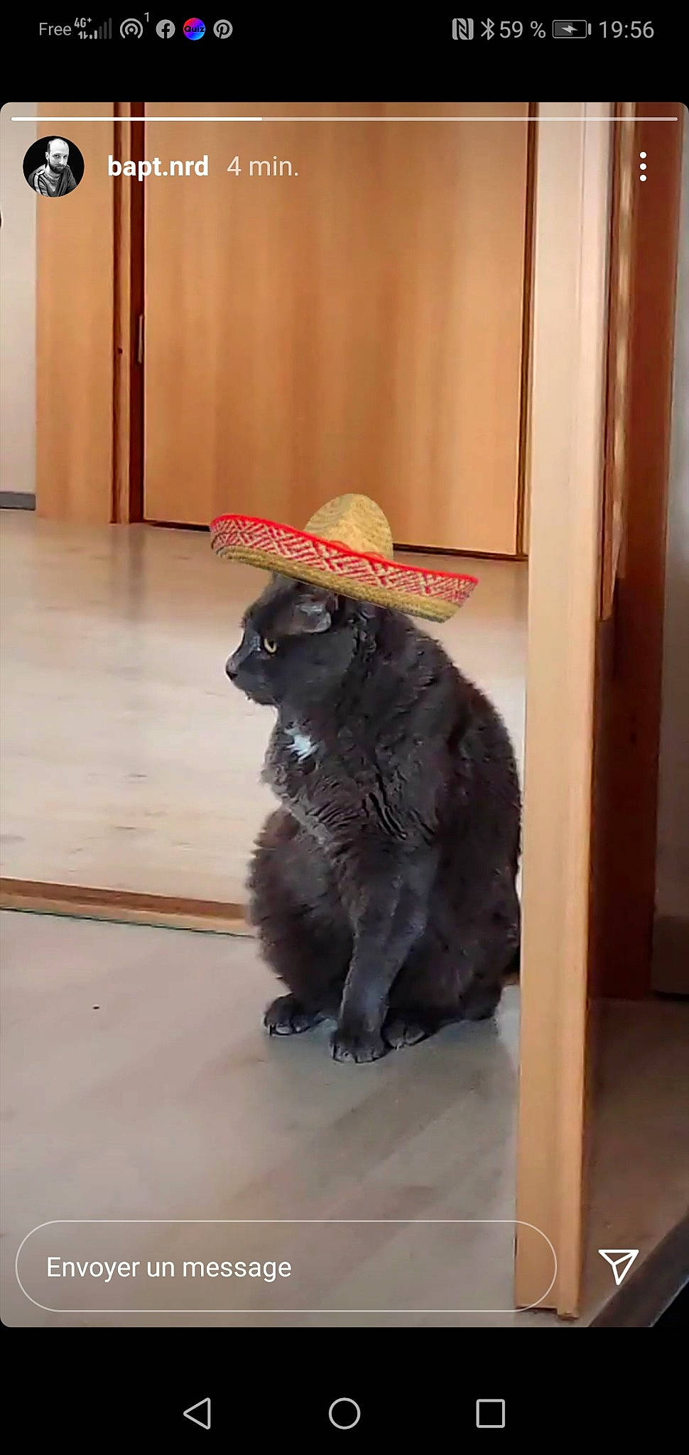 Nestor a rejoint le concours — aidez-le/la à gagner de superbes lots ! black_cat, bombay, carnivore, cat, costume_accessory, costume_hat, cowboy_hat, fedora, felidae, floor, flooring, fur, pet_supply, small_to_medium_sized_cats, snout, sun_hat, tail, terrestrial_animal, vertebrate, whiskers