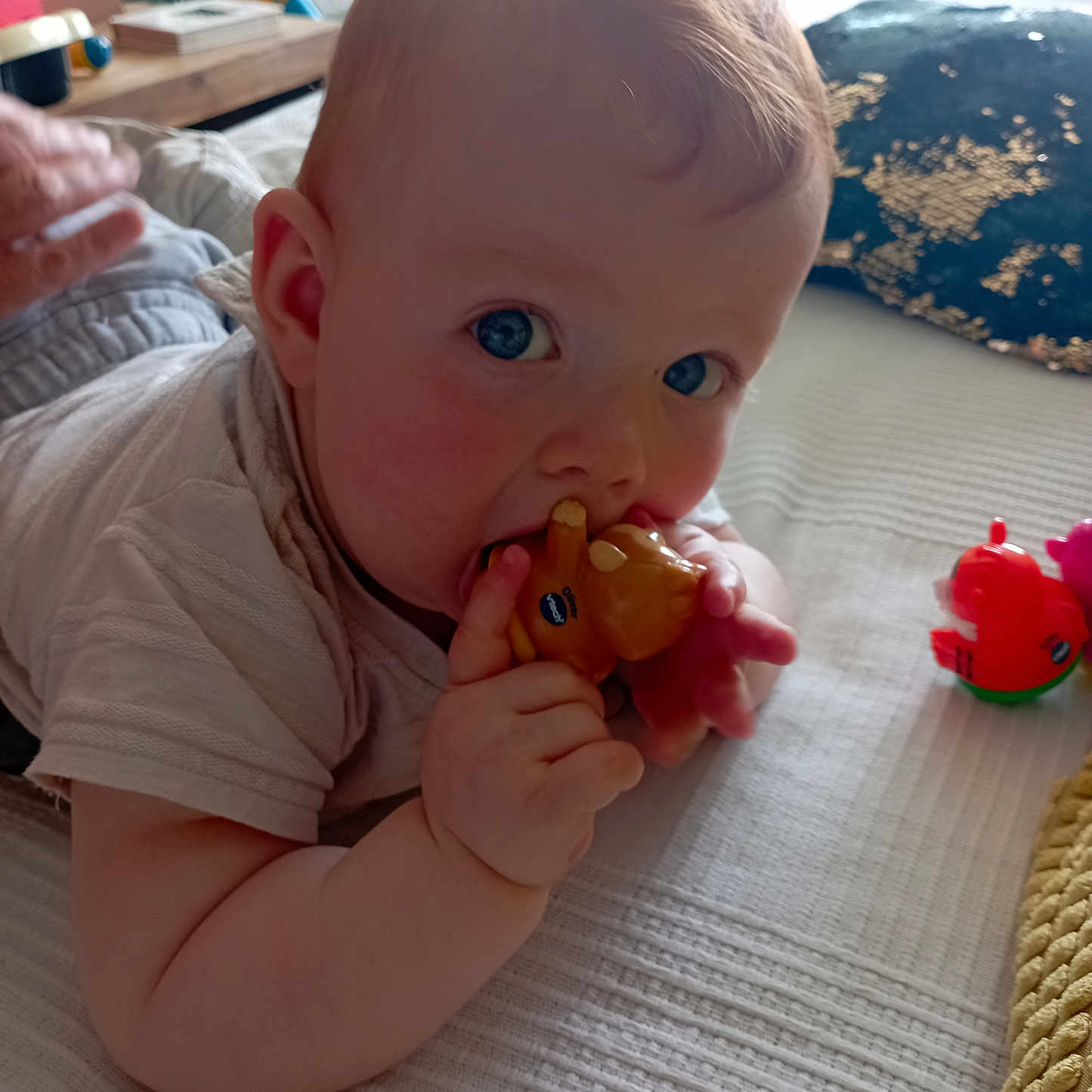 Maloë a rejoint le concours — aidez-le/la à gagner de superbes lots ! baby, bed, bodypart, clothing, couch, eating, face, finger, food, furniture, hand, head, homedecor, newborn, person, photography, portrait, sweets, t_shirt, toy