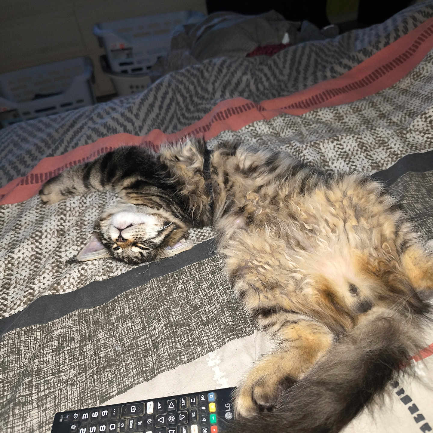 Berlioz