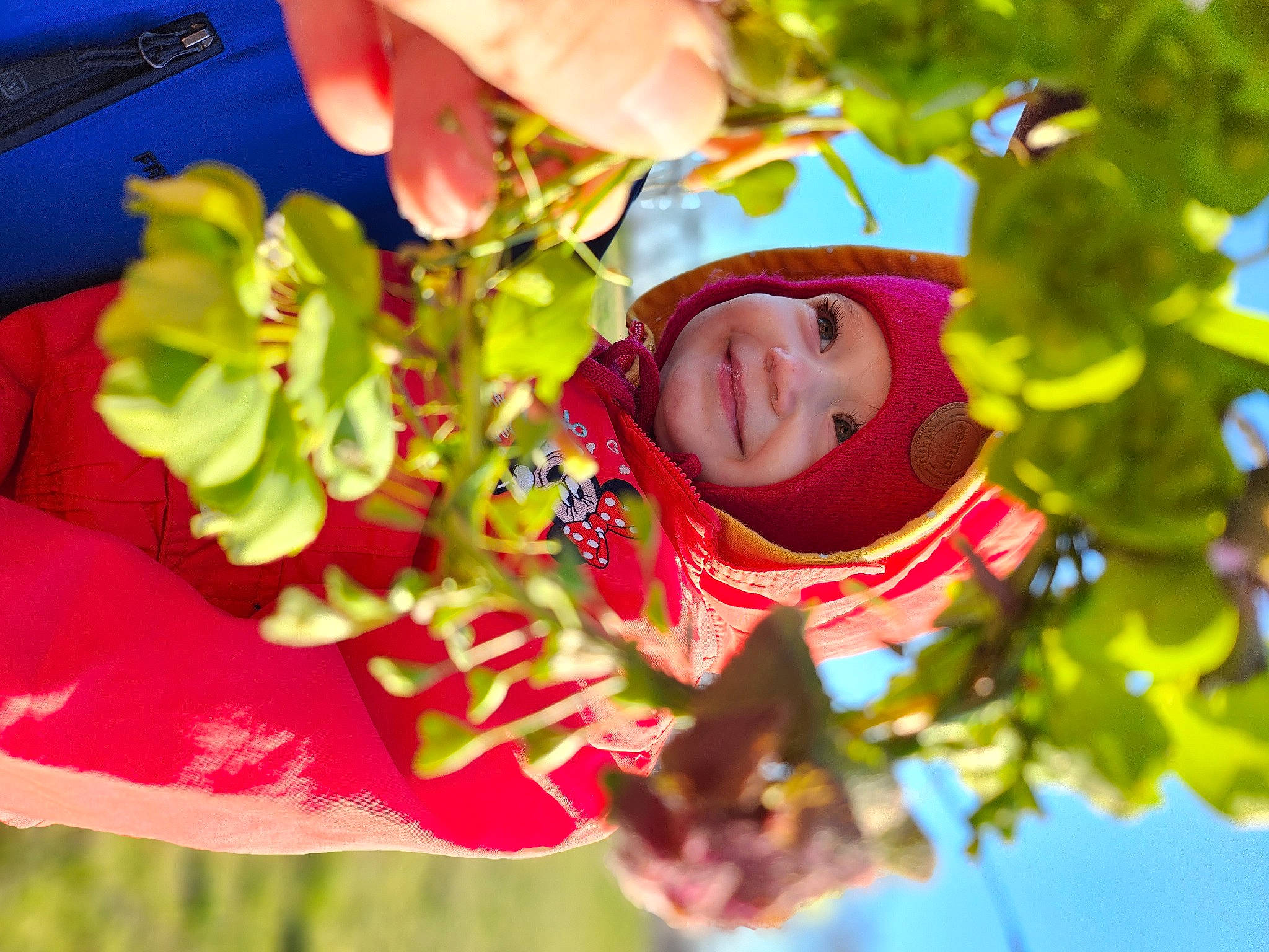 Azalia Hajar is registered to the contest to win money with this photo: baby, child, event, flower, flowering_plant, fun, grass, happy, headwear, joy, leisure, organism, people_in_nature, person, petal, plant, plant_stem, play, public_event, recreation