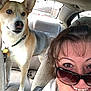 Loki is registered to the contest to win money with this photo: animal, backseat, blue_eyes, canine, car_interior, casual, collar, companion, dog, friendship, happy, indoor, pet, portrait, seat, smile, sunglasses, transportation, travel, woman