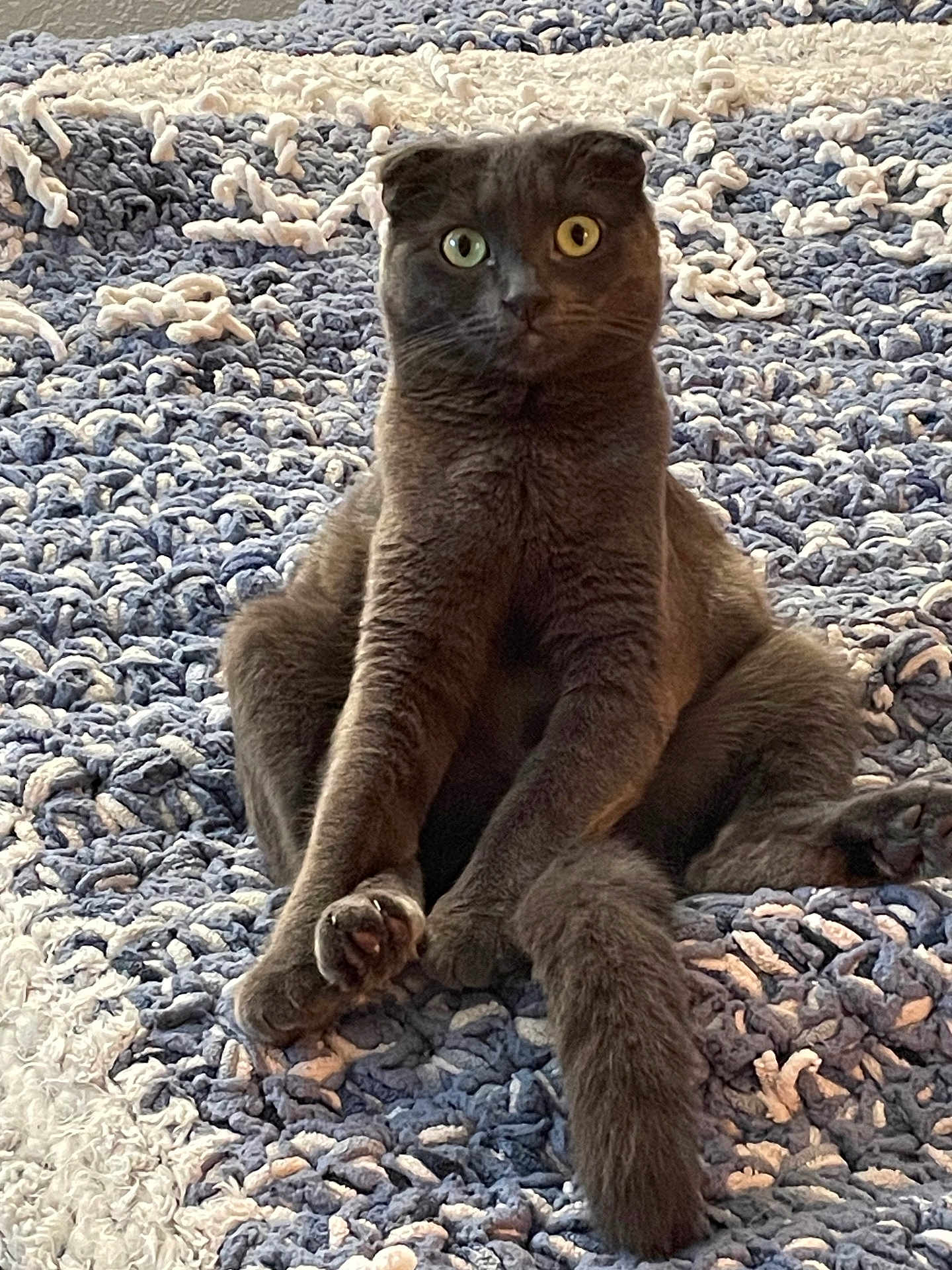 Mimi