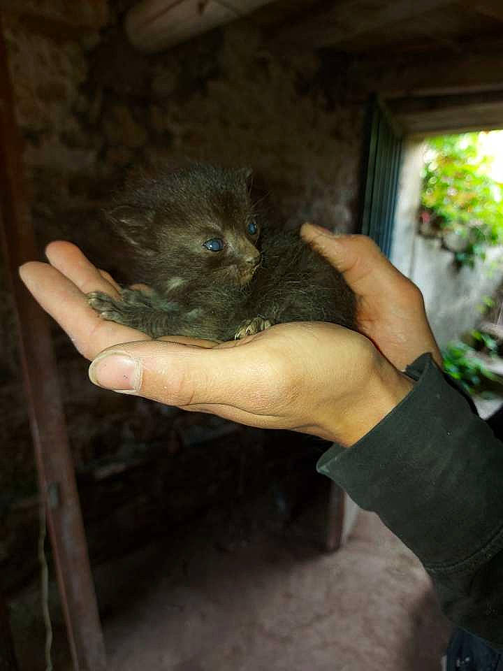 Bella a rejoint le concours — aidez-le/la à gagner de superbes lots ! bat, claw, fawn, finger, fur, hand, marsupial, nail, paw, pest, plant, rodent, snout, soil, terrestrial_animal, whiskers, wildlife_biologist, window, wood, wrist