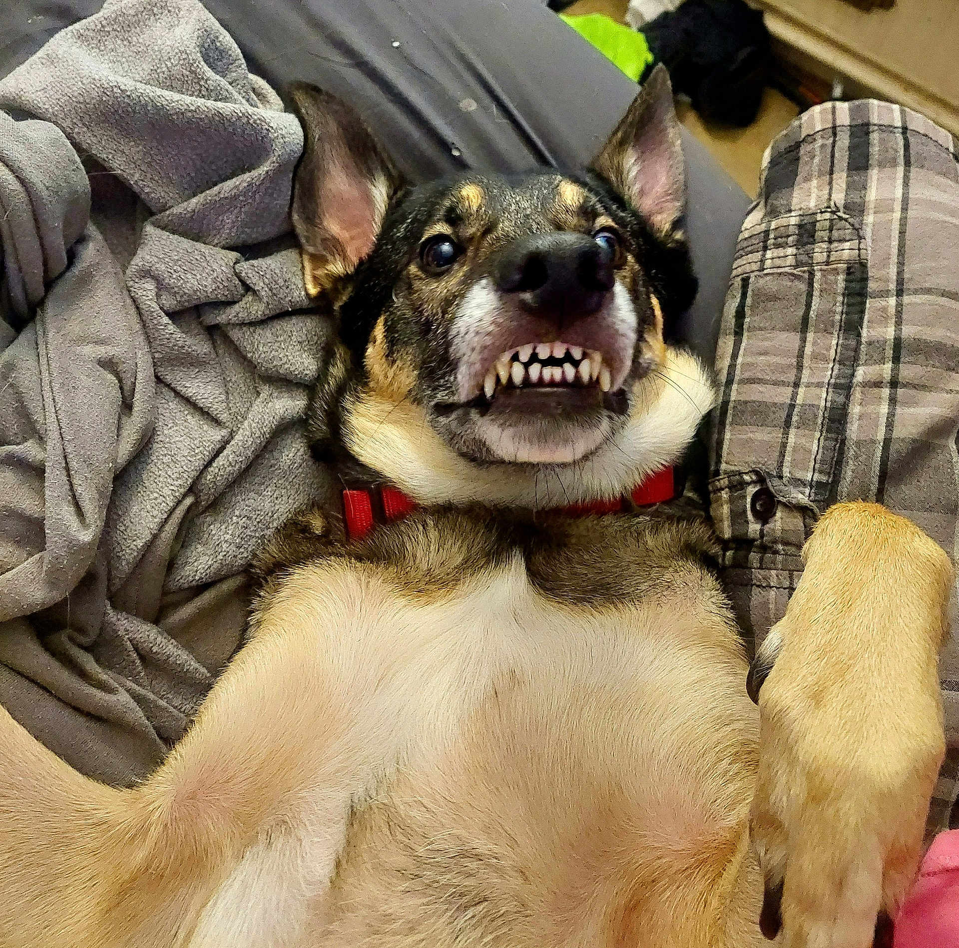 Max