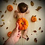 Line participe au concours pour gagner de l'argent avec cette photo : autumn_leaves, baby, child, crawling, cute, decor, fall, hand, holiday, infant, lying_down, naked_back, nature_elements, orange, playful, pumpkin, seasonal, skin, small_pumpkin, white_background